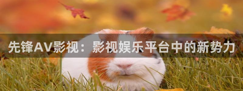 神马嘿嘿影院