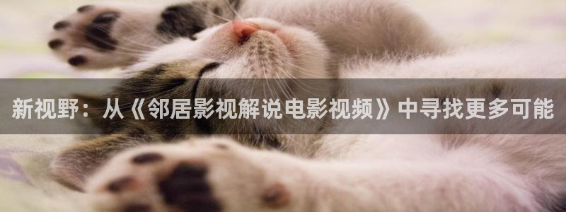神马电影网九