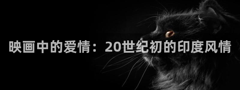 神马电影午夜91