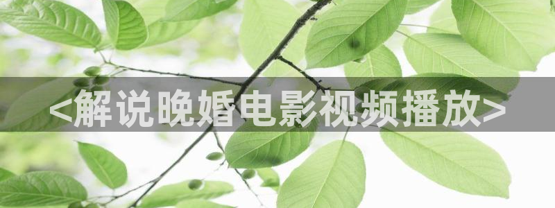 神马久久精品影院