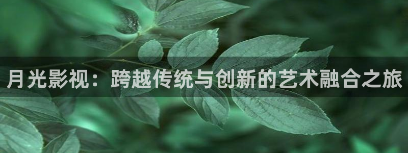 神马午夜影院dy888