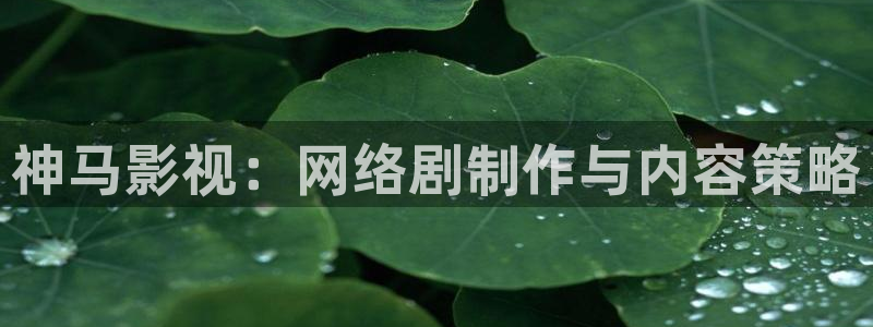 神马影院我不卡午夜