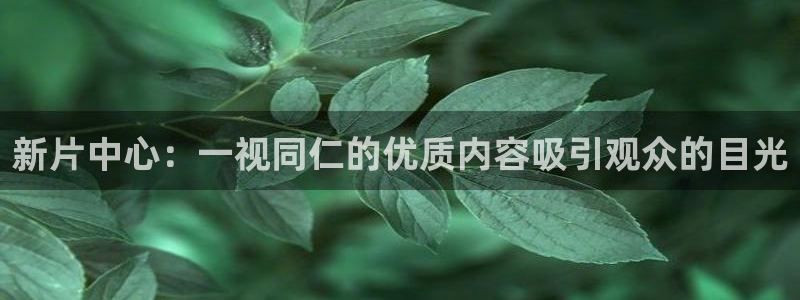 神马影院韩文
