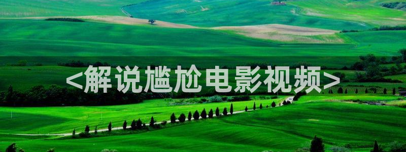 神马影院理论电影在线观看