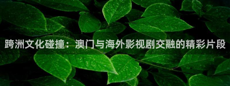 原来神马电影网中国手机版